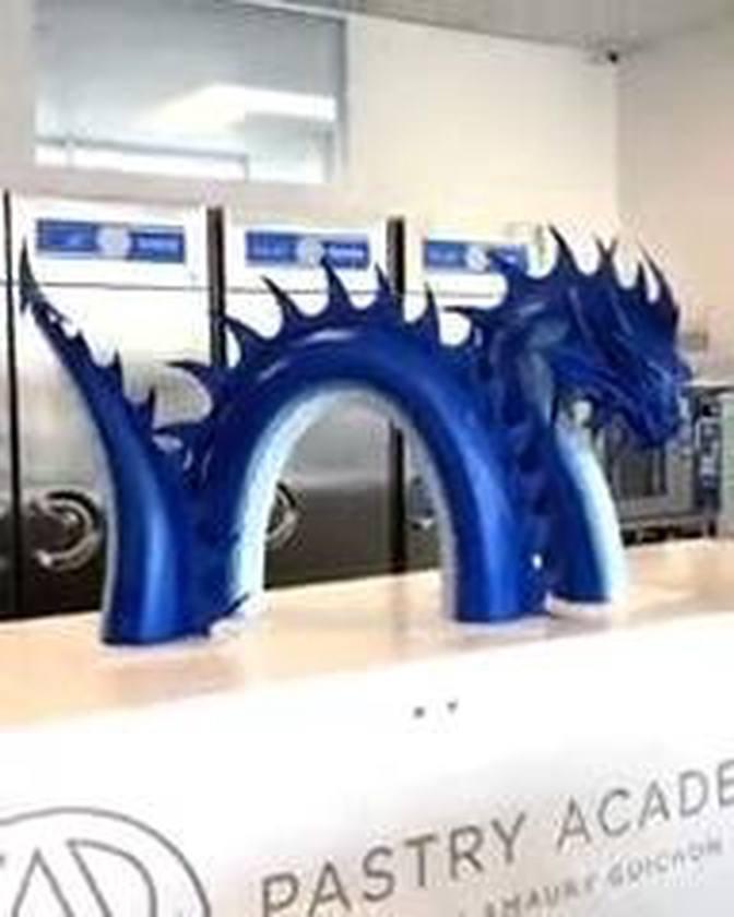 Chocolate Sea Dragon!