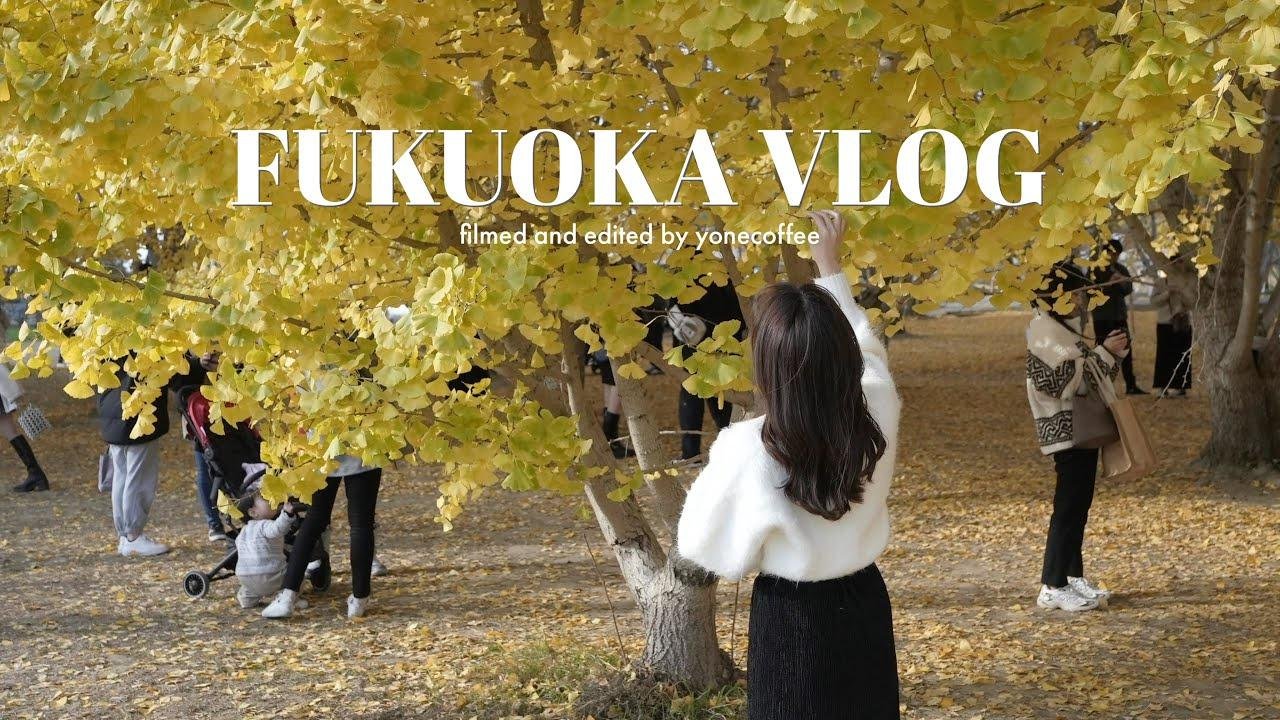 vlog｜秋の福岡グルメ旅🍁｜ここ行けば間違いなしの人気店＆カフェ巡り