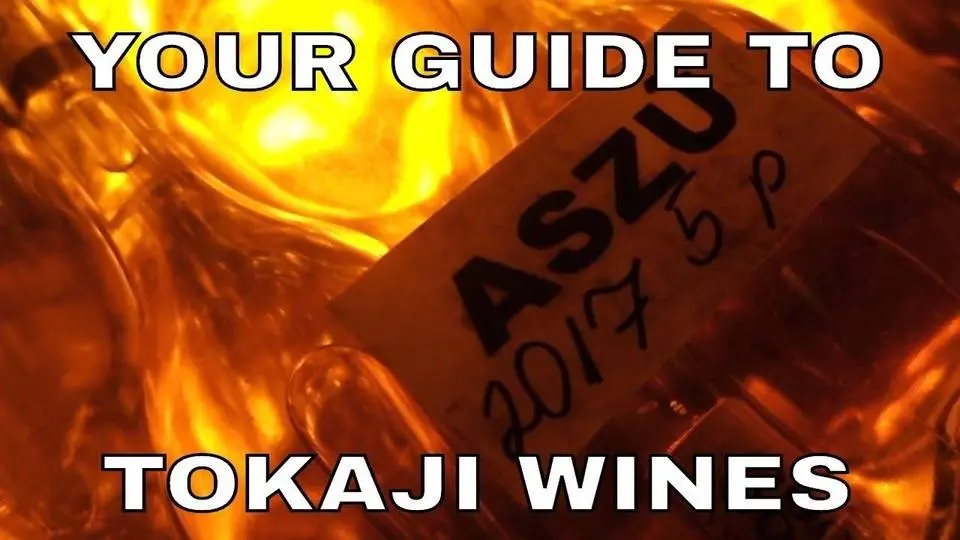 Hungarian Wine_ Tokaj, Explained