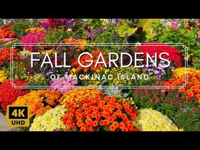 Fall Garden Walking Tour | Amazing Colors and Relaxing Music on Mackinac Island,|Green Uitility