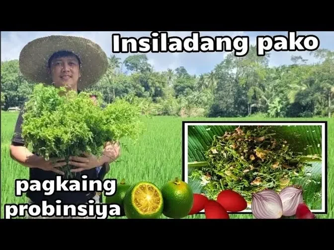 EP-515 Pagkaing probinsya ENSALADANG Pako Naligo sa ilog