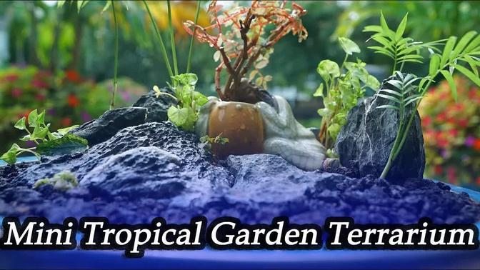 Mini Tropical Garden Terrarium With Palm Trees & Super Dwarf Syngoniums