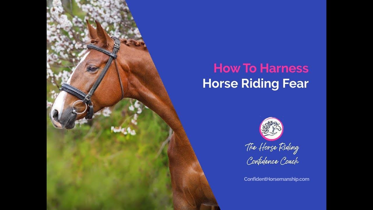 How To Harness Your Horse Riding Fear