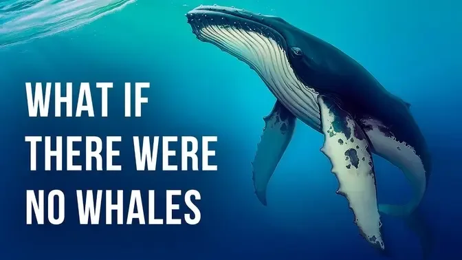What If All Whales Disappeared on Earth