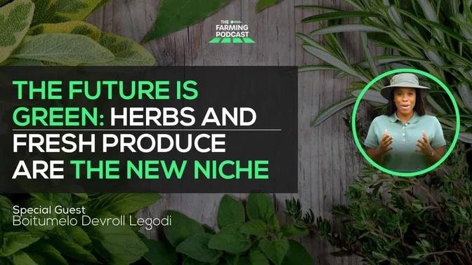 The Future Is Green: Herbs and Fresh Produce are The New Niche | 141