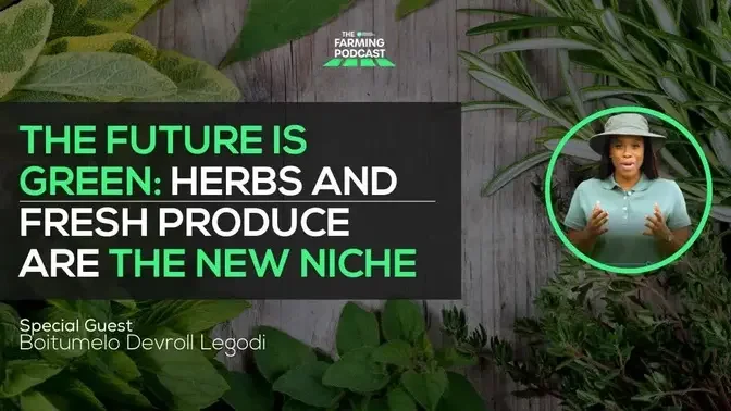 The Future Is Green: Herbs and Fresh Produce are The New Niche | 141