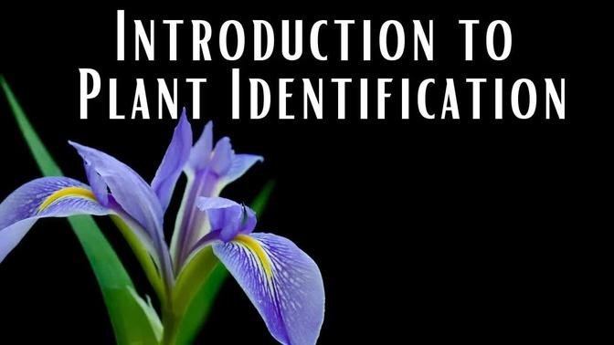 Introduction to Plant CIT