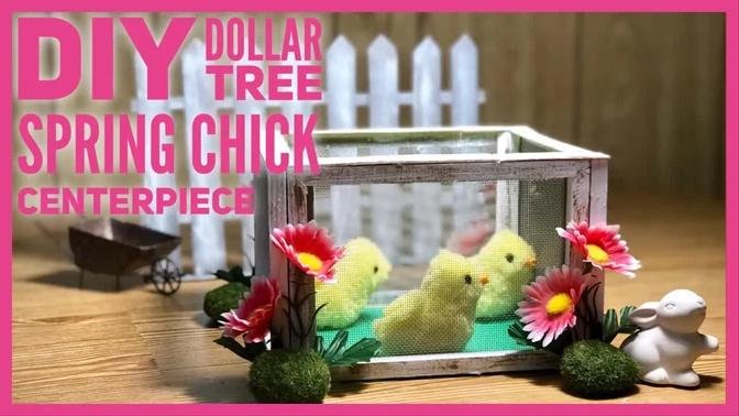 DIY Dollar Tree Mini Wire Chicken Coop Centerpiece - Dollar Tree Chicks Farmhouse Spring Room Decor