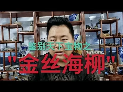 鉴别天下宝物之"金丝海柳"