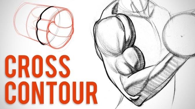 Simplifying Arm Muscles with Cross Contour - Biceps Critique