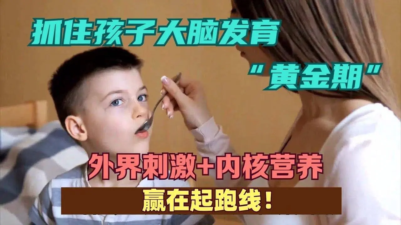 抓住孩子大脑发育“黄金期”外界刺激+内核营养，赢在起跑线！
