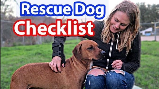 Ultimate RESCUE DOG Checklist   Dog MUST-HAVES