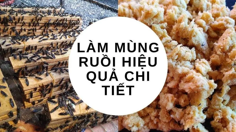 Hướng dẫn làm mùng ruồi Siêu Hiệu Quả( phần 3) | Vy's Farm