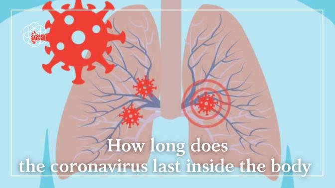 How long does the coronavirus last inside the body 