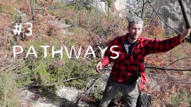 #3 Making pathways through the bushes