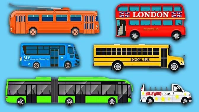 Learn Buses - Learning Bus Colors & Sounds - Street Vehicles - Organic ...