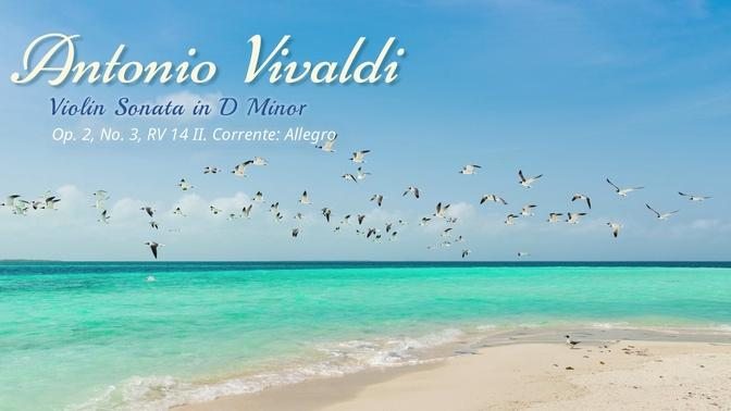 Violin Sonata in D Minor, Op. 2, No. 3, RV 14 II. Corrente: Allegro
