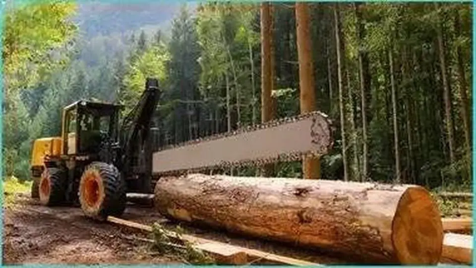 50 Incredible Fastest Big Powerful Electric Chainsaw Cutting Tree Machines