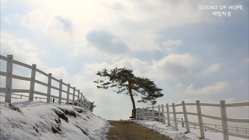 #winterbeauty 원당 종마목장 설경 (元堂種馬牧場 雪景)