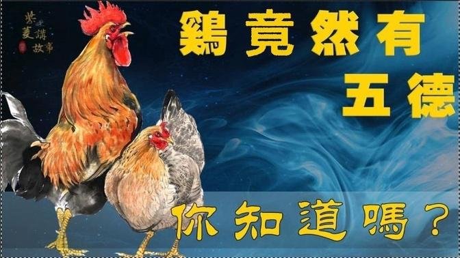 【傳統文化系列】雞竟然有五德，你知道嗎？到底是哪五德呢？