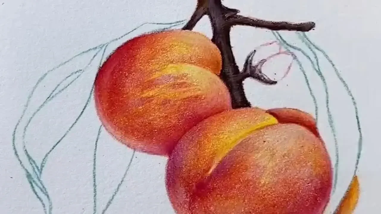 全B站最詳細的彩鉛桃子畫發，簡單易學，超級詳細全過程