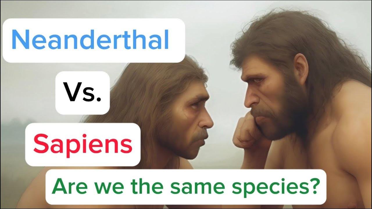 Neanderthal Vs. Sapiens - Are We The Same Species? Detailed Review