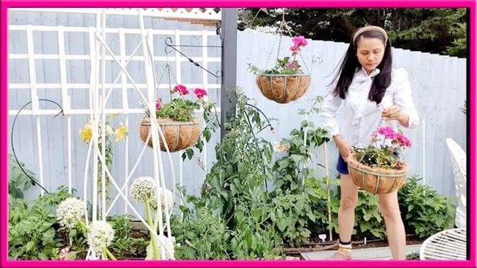 Planting Hanging Baskets With Flowers and Cherry Tomatoes - Gardening Tips - Grow Your Own Guide