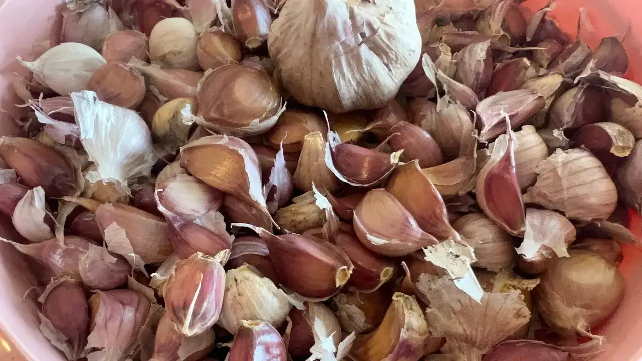 Canning Spicy Pickled Garlic