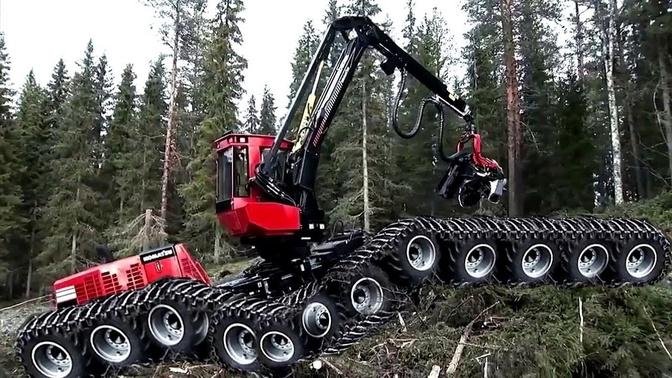 Amazing Fastest Skill Chainsaw Tree Cutting Tractor Machines, Big Felling Tree Heavy Equipment.