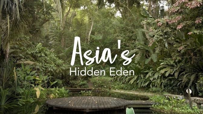 Asia's HIDDEN EDEN - Relaxing Rainforest Sanctuary at the Tropical Spice Garden (Penang)