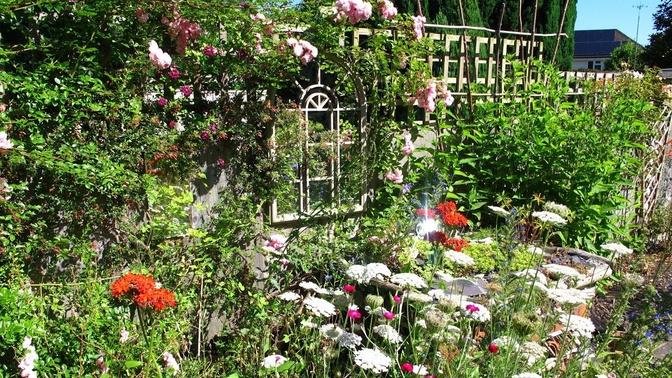 'The Cottage' English Garden in Surrey - 'Summer'