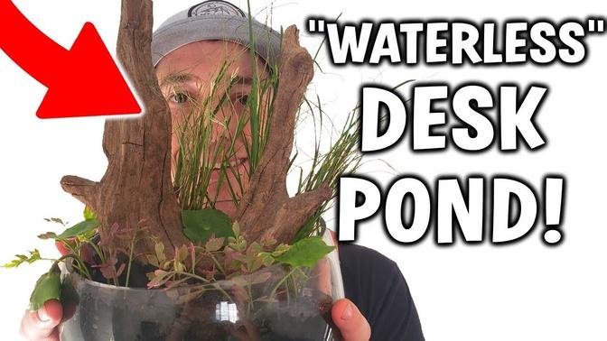 DIY "Waterless" DESK POND? - Indoor Pond Alternative