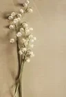我們這一班