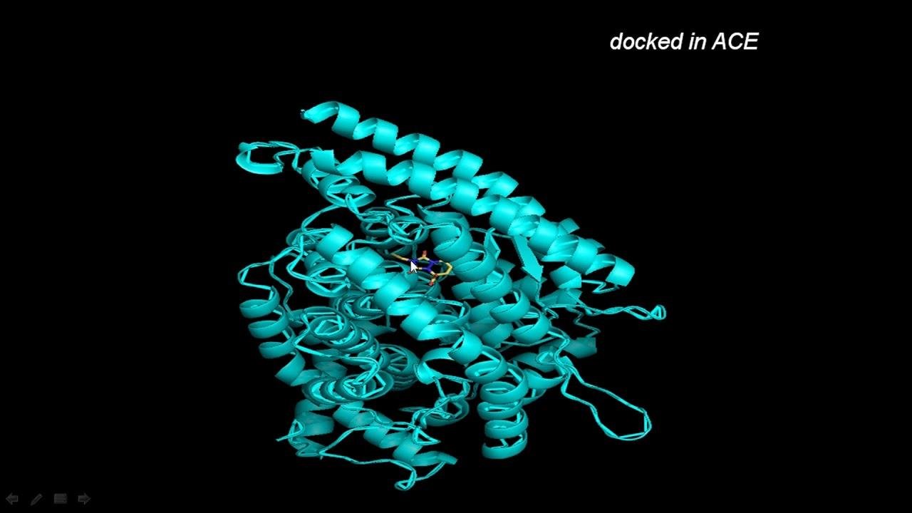 Lecture 38 Docking