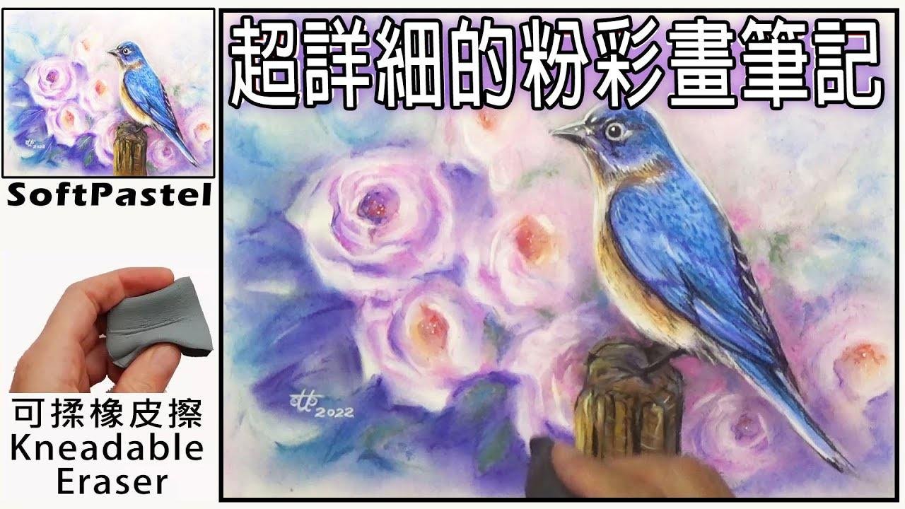 ( 14 )基礎粉彩畫教學-超詳細的粉彩畫筆記.－花與鳥。 Basic Soft Pastel painting teaching - Flowers & bird.
