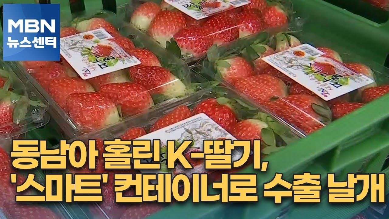 동남아 홀린 K-딸기, '스마트' 컨테이너로 수출 날개 [MBN 뉴스센터]