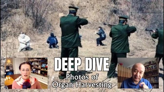 DEEP DIVE: Real Life Photos of Bodies Being Organ Harvested in China, Analyzed by an Eye-Witness