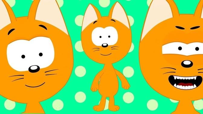 My Face Song - Kote Kitty Meow Meow - Action song for kids and toddlers
