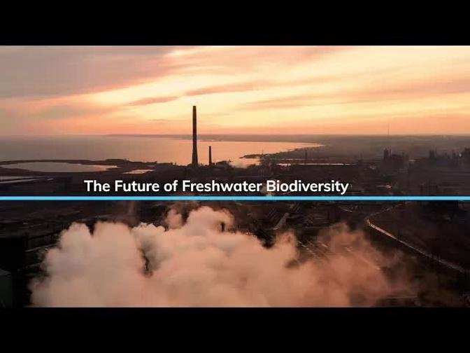 The future of freshwater biodiversity