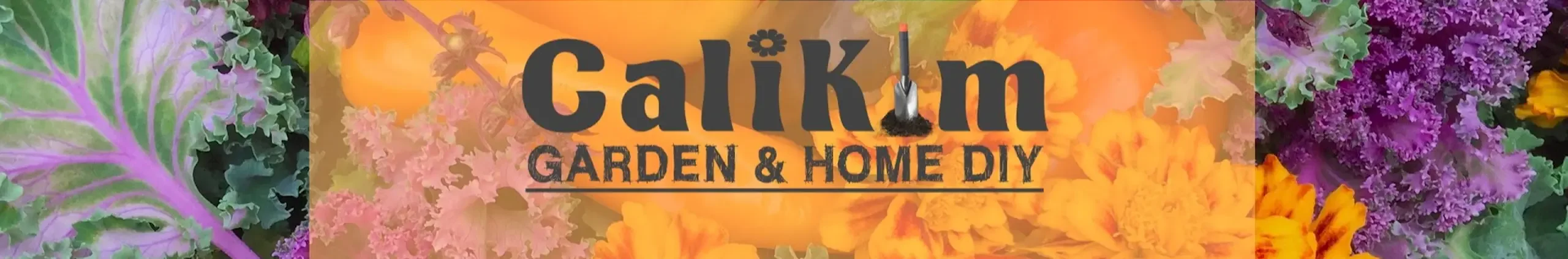 CaliKim29 Garden & Home DIY