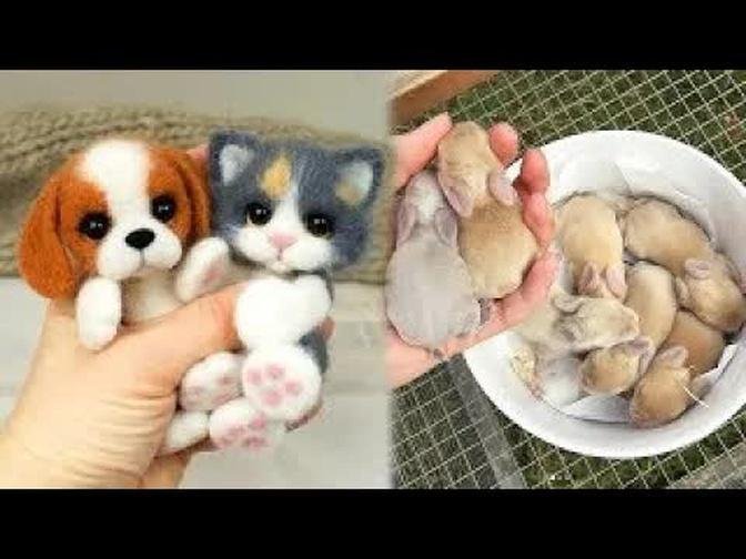 Cute baby animals Videos Compilation cute moment of the animals #8 Cutest Animals 2022