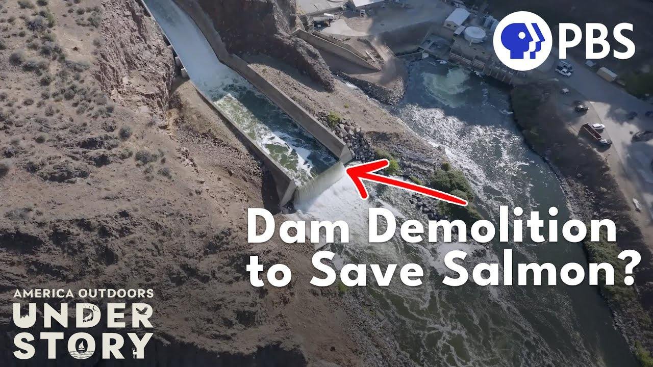 Is The Future of California's Salmon Dam Demolition?