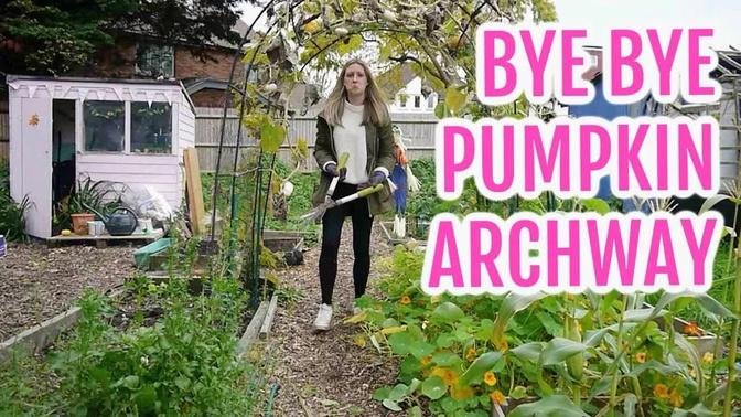BYE BYE PUMPKIN ARCHWAY / OCTOBER 2021 / EMMA'S ALLOTMENT DIARIES