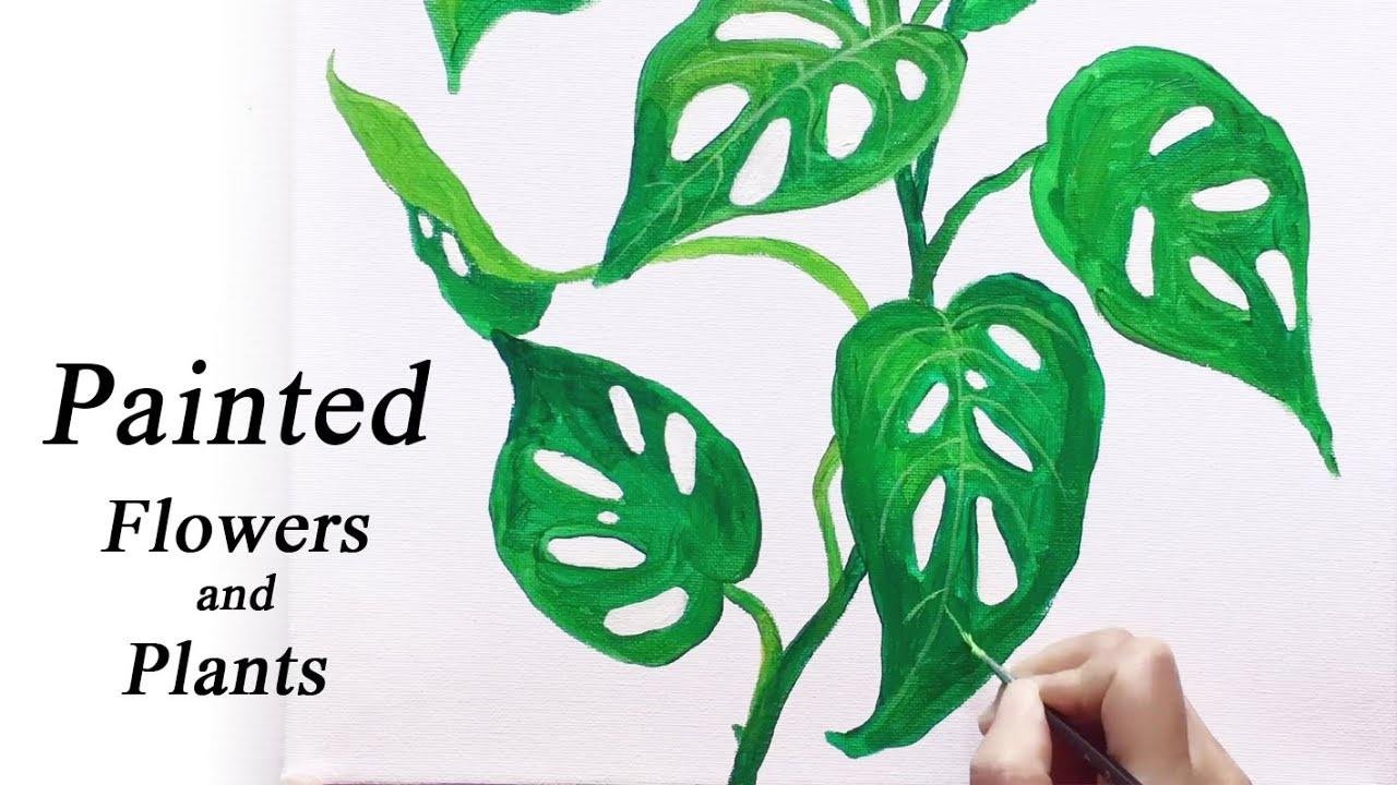 #48 壓克力彩繪《花花草草》畫清新觀葉植物 / 洞洞蔓綠絨