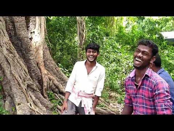 MY Village Vlog   Full Fun Vlog in my village   Forest Old Temple Vlog   village style cooking