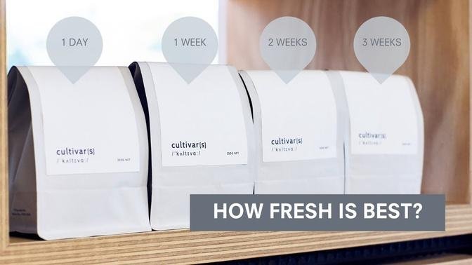Ideal Coffee Freshness (according to science)