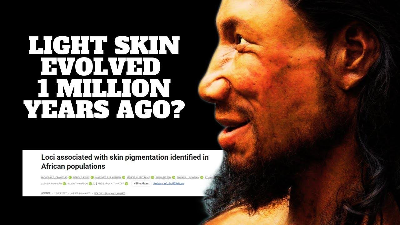 Skin Color Diversity a Million Years Ago in Ancient Humans, According to Scientists