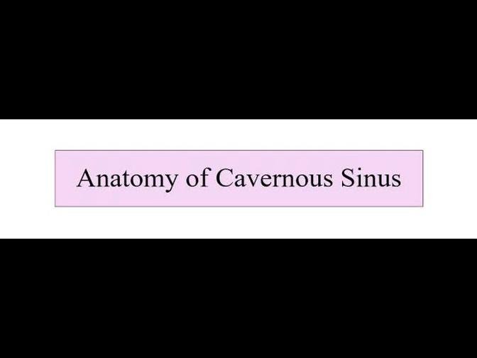 Anatomy of Cavernous Sinus