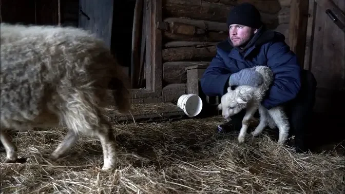 VILLAGE FARM IN WINTER. ASMR sounds. winter in the village in RUSSIA. ASMR RUSSIA villager noises.