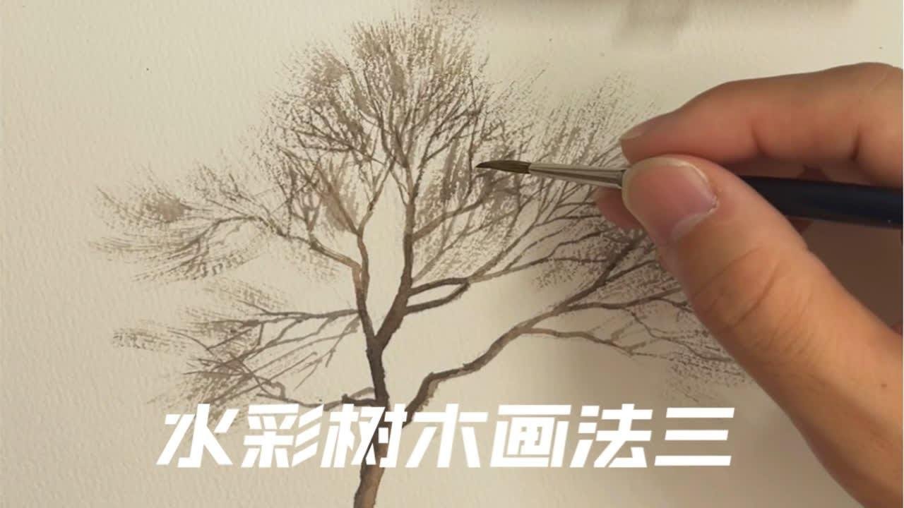 水彩風景畫中，樹梢繁密的枯樹，一直是眾多畫友們的難題。找到主線，運筆頓挫，疏密有致，加強練習，並能夠合理的運用筆法，是成功的關鍵。